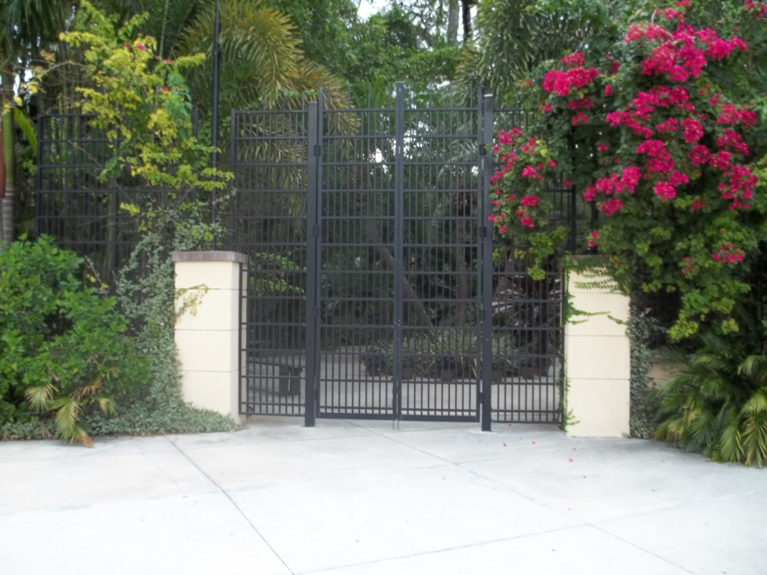 A black wrought iron gate with beige stone pillars surrounded by lush tropical greenery and vibrant pink bougainvillea.